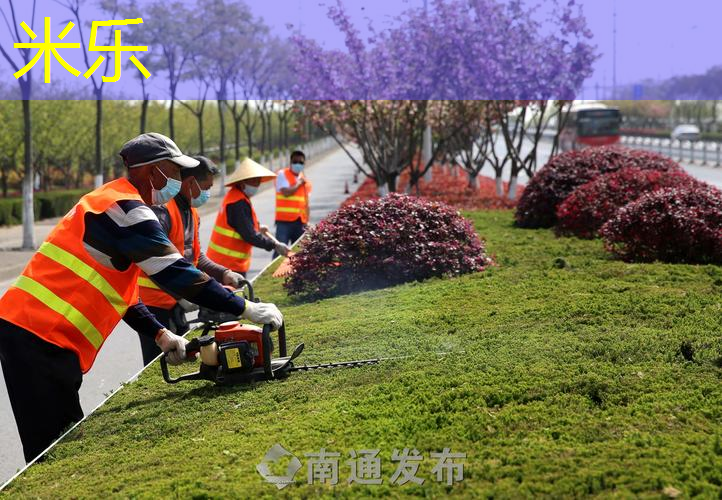 从废土到绿洲！庭院别墅草坪绿化工程一步到位！