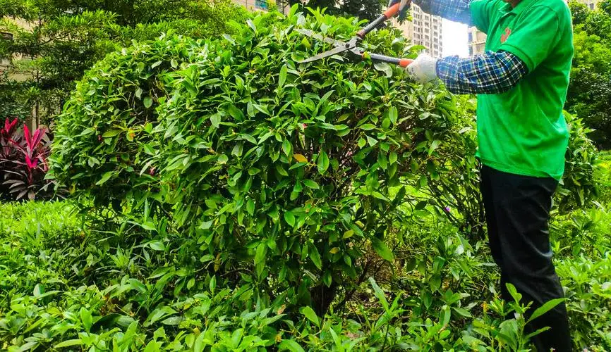 米乐：怎么擦乒乓球台子的胶皮
