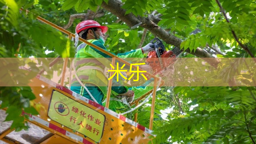 米乐m6官网：探寻塑胶跑道材料的奥秘：多种选材给你选择的机会