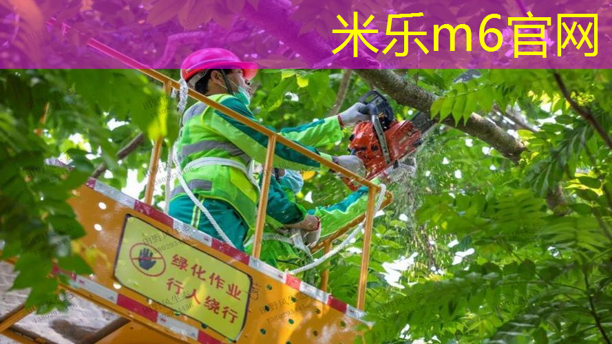 怎么折网球拍用纸做的简单