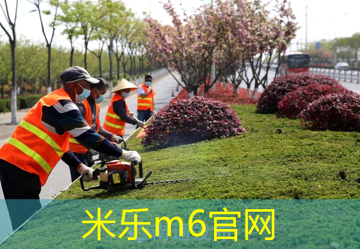 从废土到绿洲！庭院别墅草坪绿化工程一步到位！