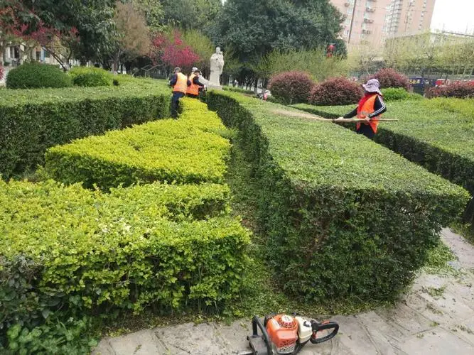 儿童篮球障碍物器材