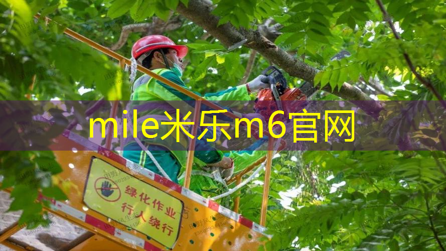 踏步浪板运动是否适合那些对游泳不擅长的人？