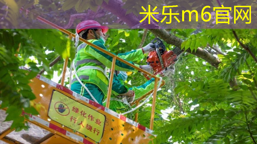 室内健身要什么器械好练