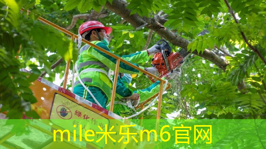 探寻塑胶跑道材料的奥秘：多种选材给你选择的机会